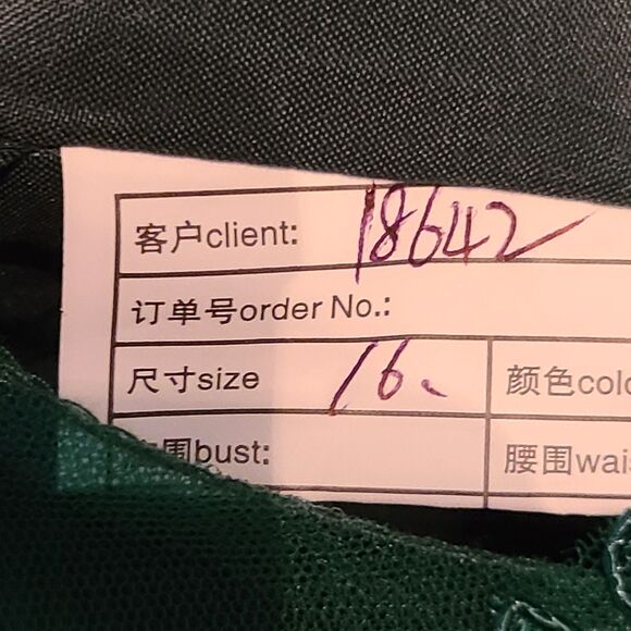 New Mother of the Bride (16) Dark Green Embroidered & Chiffon Pleated Midi Dress - Picture 8 of 8